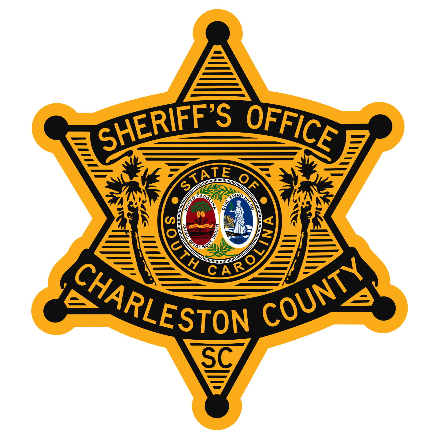 ccso logo Charleston County Sheriff’s Office